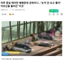하루 종일 에어컨 빵빵 "눈치 안 보고 좋아".jpg
