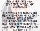 조상님의 노고를 느낀 쩡 역식자