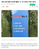"한강 상의 탈의 러닝족 불편"vs"이 나라는 자유가 없나"