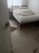 친구네 놀러와서 출근한 친구 대신 강쥐 약 먹였는데