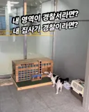 전국 최초 대구 달서경찰서 길고양이 급식소 설치
