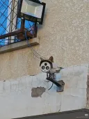 CCTV 관측병