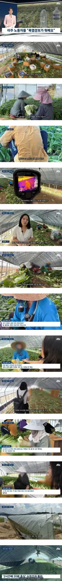 이 폭염에 이주 노동자들 휴식 시간 없이 일 시키는 농장주 기적의 논리.jpg