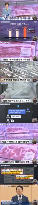 삼겹살 가격 근황