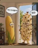 내란 대구는 가지말자