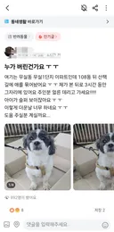 당근에 올라온 유기견