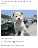 주식)요즘 주식시장 특징