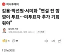 보완투표권 주장하는 김용°박선원°서미화