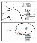애완동물들이 인간을 이해할 수 없는 부분