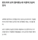 판도라 상자 열어본후 이혼하고싶다