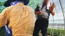 외노자, 이 폭염에 비닐하우스에서 10시간 노동