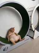 그냥 사는 것도 힘든데
