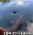 강에서 보고 느낀 물귀신 현상 원리