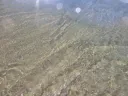 실시간 해운대 풍경 & 광안리와 수질 차이