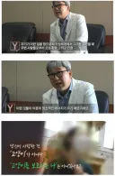 정신과 의사의 캣맘 분석 ㅋㅋㅋ