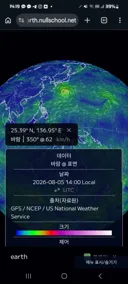 원기옥 모으는 돌핀