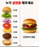 건강한 식재료가 모여서 만들어진 햄버거 특