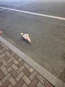 사연 많아보이는 꽃다발