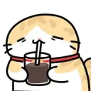 아침에 연 가게도 없고 편의점 음식은 기름지고
