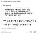 ??? : 인간들은 왤케 동물보다 무능함???