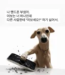 핸드폰 뿌셧음