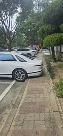 주차 개 젖같이 하네 증말