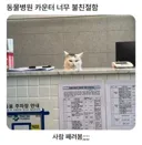 "...당신은 완전히 오해하고 있습니다."