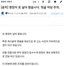 피규어 게시판에 영장 공지 올라왔네