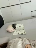 집사 품에 안긴 냐옹이...