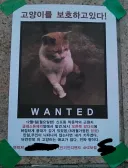 [동물] 귀여운 납치
