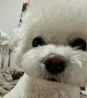 코가 왤케 크세요?