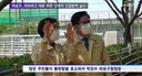 마포구 러브버그 긴급방역 실시 ㅋㅋ