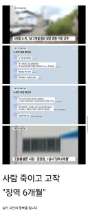 💥사람 죽이고 징역 6개월 나온 이유