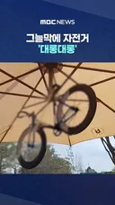 아니.. 민폐인건 아는데.. 아무도 없었고.. 재밌잖아오...news