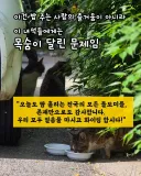 책임없는 쾌락이란 말에 빡친 털바퀴맘.. ㄷㄷㄷ