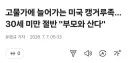고물가에 늘어가는 미국 캥거루족…30세 미만 절반 '부모와 산다'