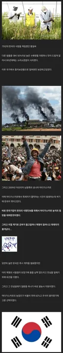 아프리카 사람들한테 한국 쌀 먹이기