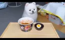 댕댕이 불닭 볶음면.. 먹이는