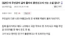 주인공이 글 몰라서 혼인신고하는 소설