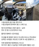 면허 따고 2주 만에 경차 산 사람의 최후