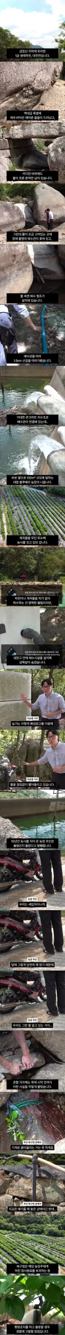 1급 생태하천 말라가는데 황당한 무단취수 경작