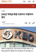 프로야구 주말 시리즈 전체 취소
