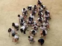 이제는 사라졌다는 악습.jpg