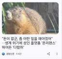 대충 너무나도 루리웹 유게스러운 기사 제목