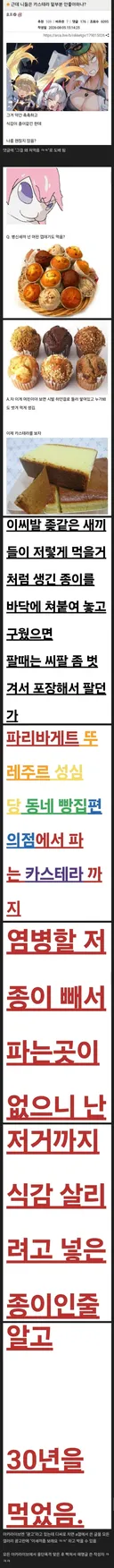 어제자 카스테라 사건