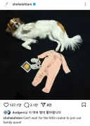 일본이 2050년 월드컵 우승 계획 세운 이유 알아냄