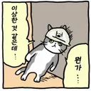 중고차 맛이 갈려해서 아반떼 계약해둠