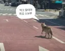 의외로 생각보다 탈주의 신이었던 청계산의 괴수