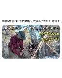 해외에서 유행하는 k- 아이템
