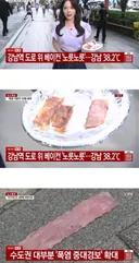 요즘 돌판베이컨 맛집 거리